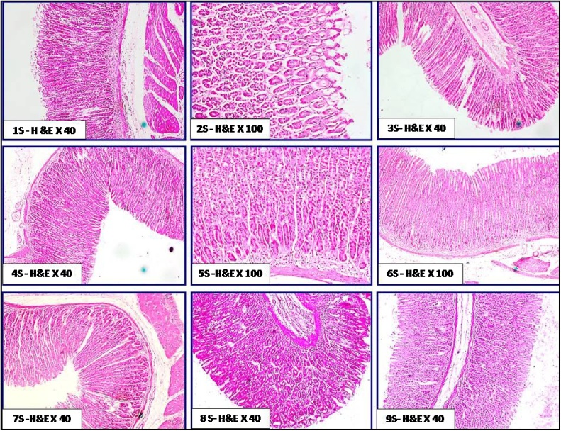 Fig. 7