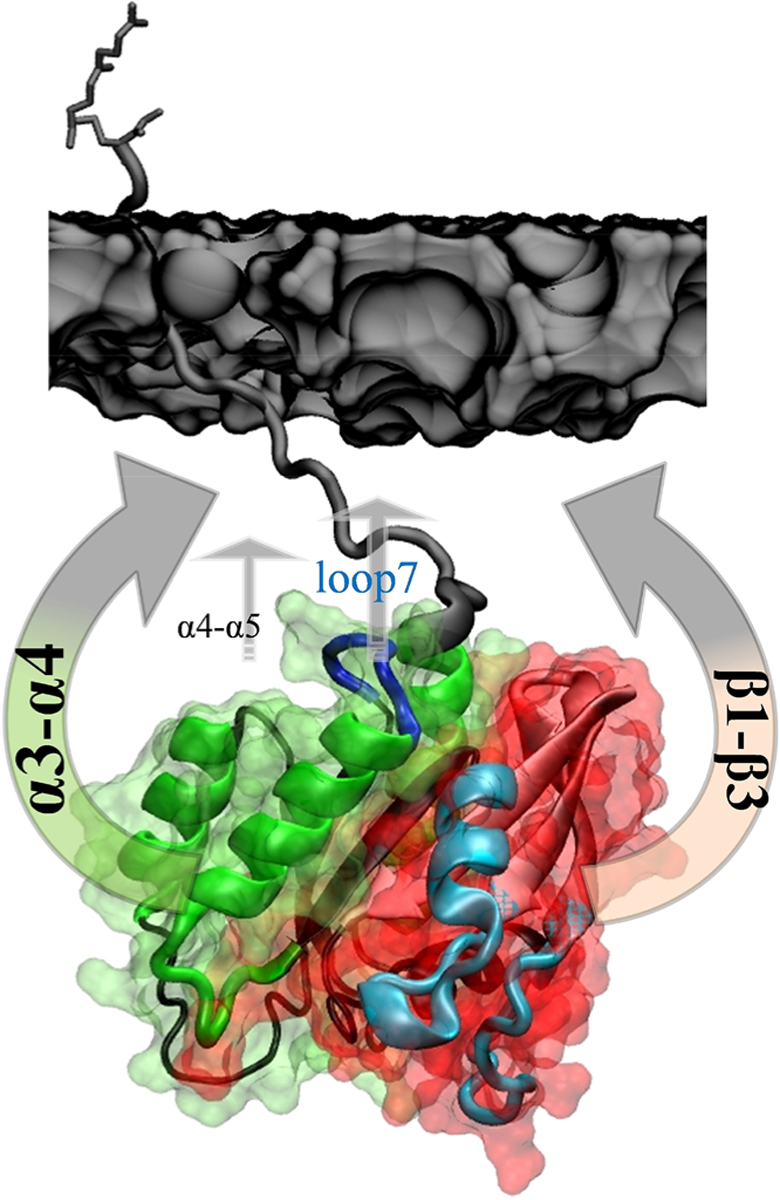 Figure 7.