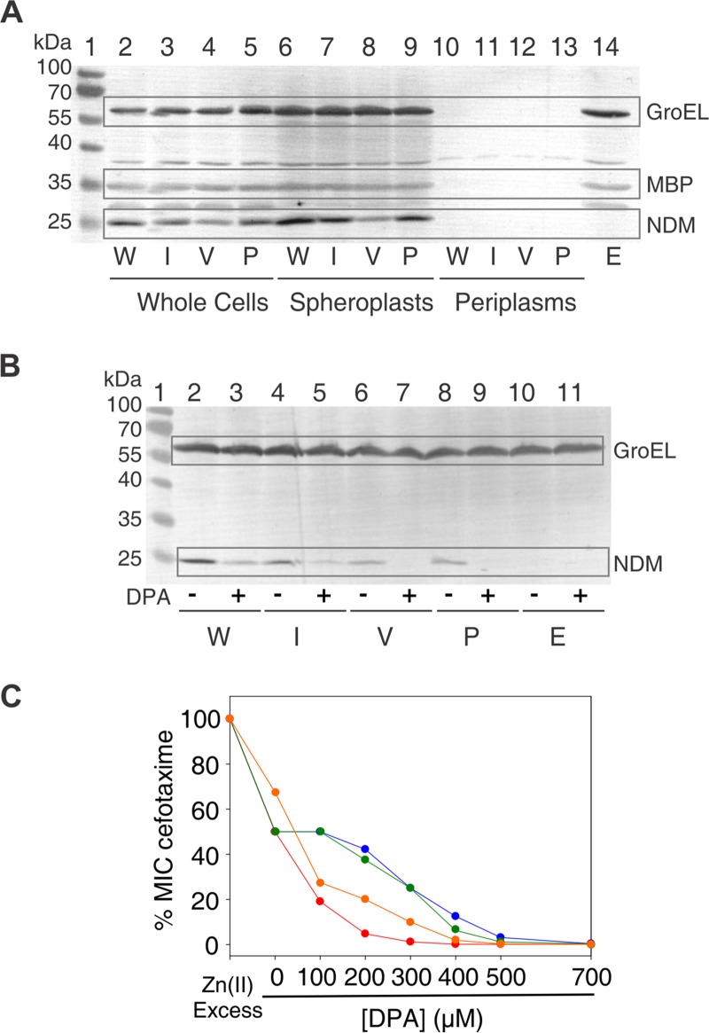 FIG 2