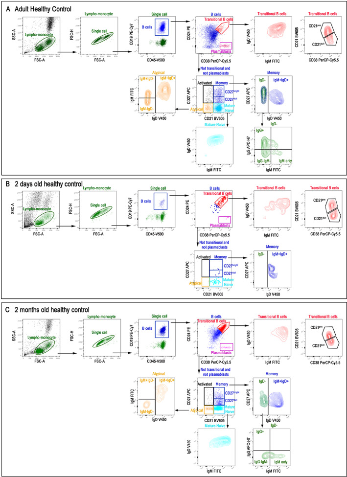 FIGURE 2