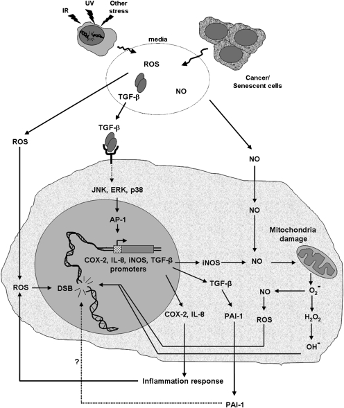 Fig. 6.