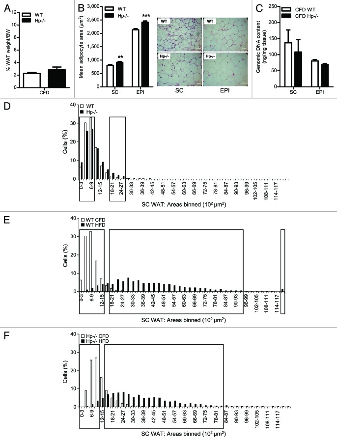 graphic file with name adip-1-142-g2.jpg