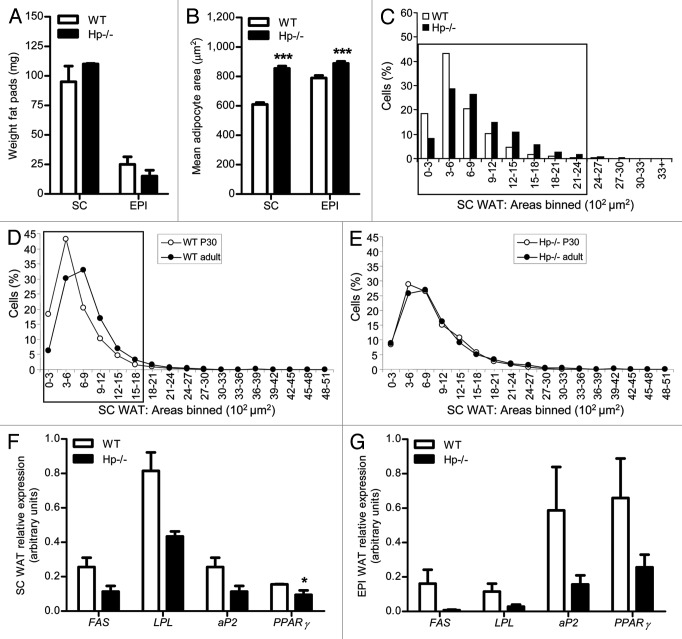 graphic file with name adip-1-142-g5.jpg