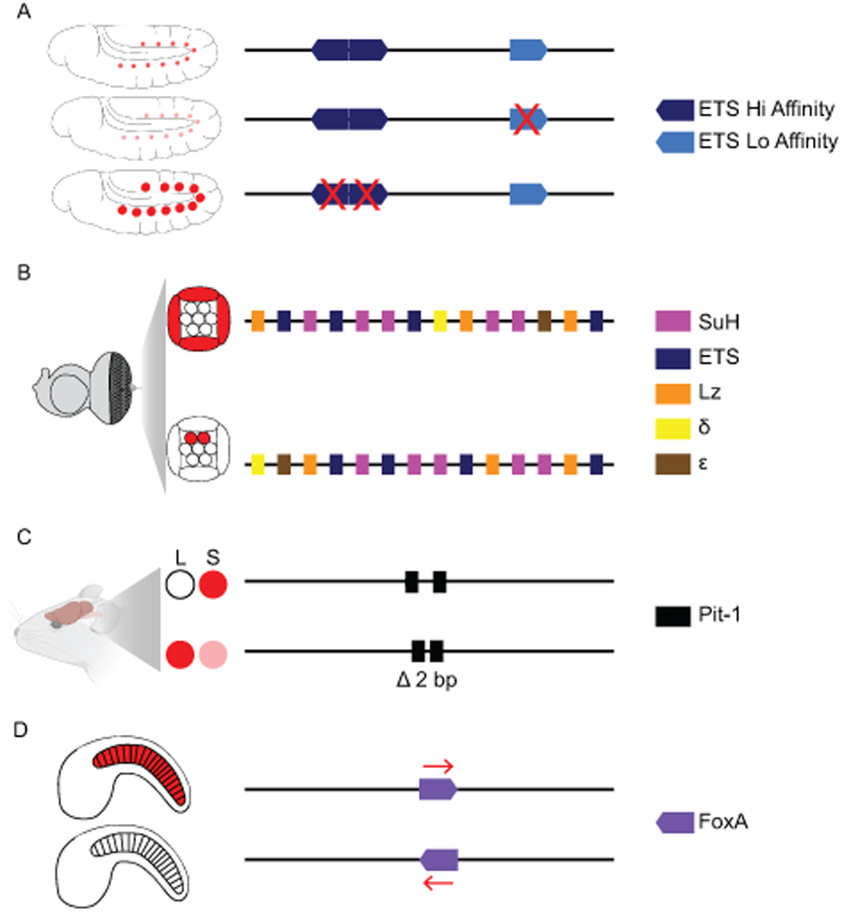 Figure 3: