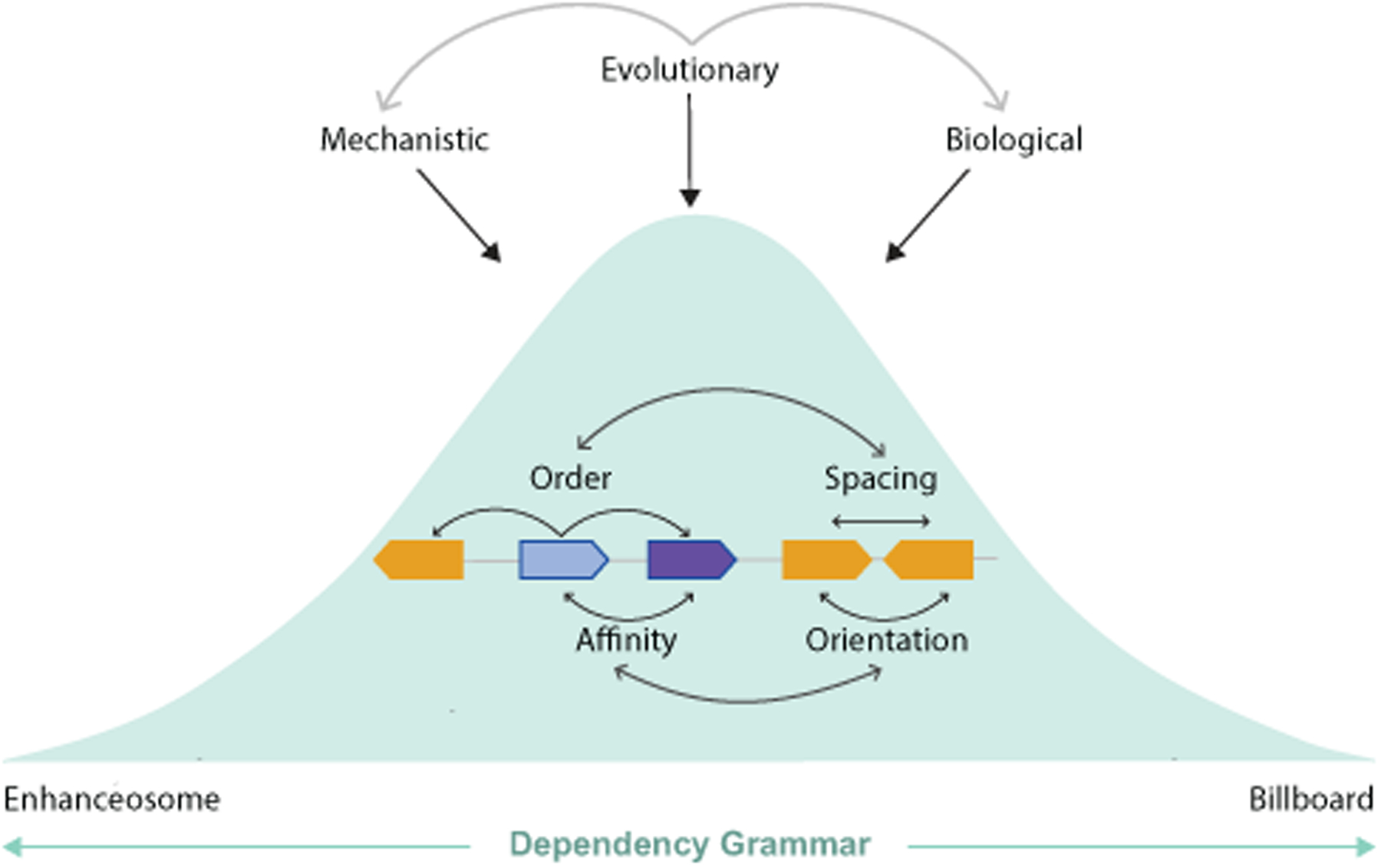 Figure 4: