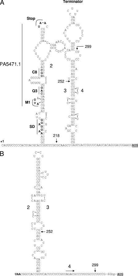 FIG. 5.