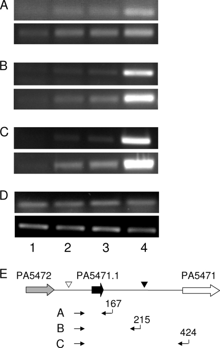 FIG. 4.