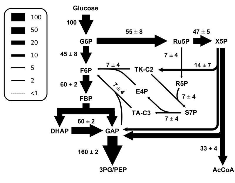 Figure 6.