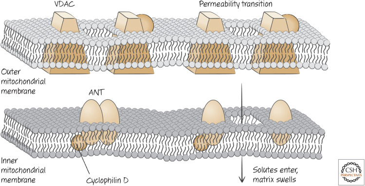 Figure 10.