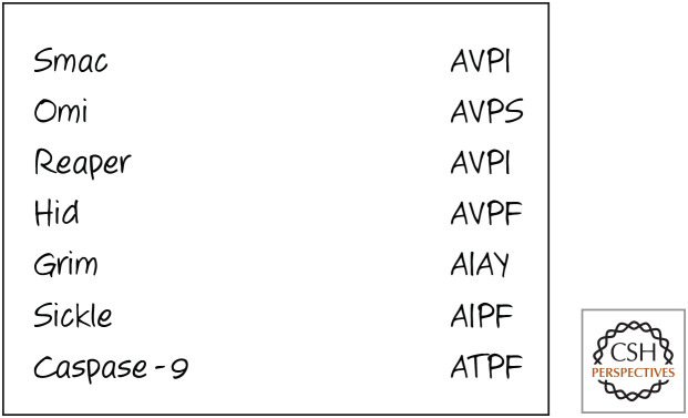 Figure 15.