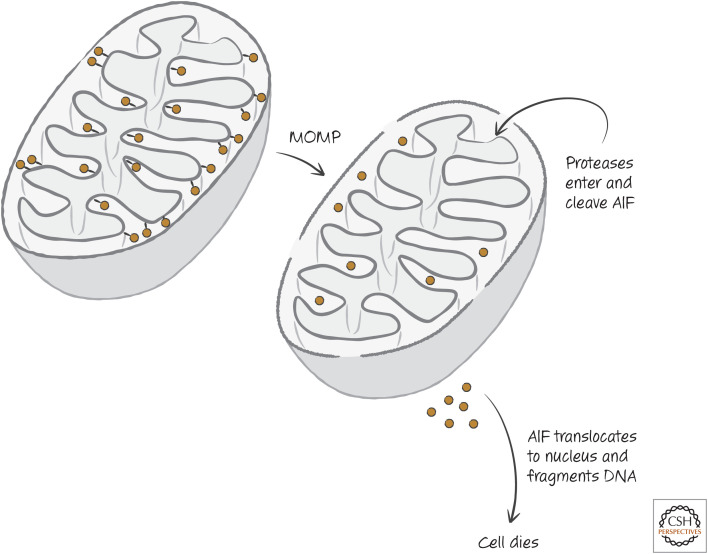 Figure 9.