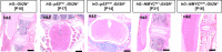 Figure 5