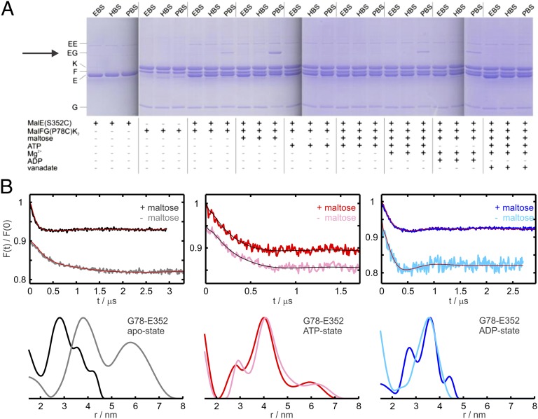 Fig. 3.