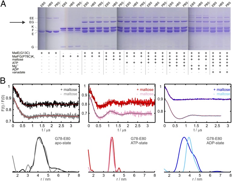 Fig. 2.