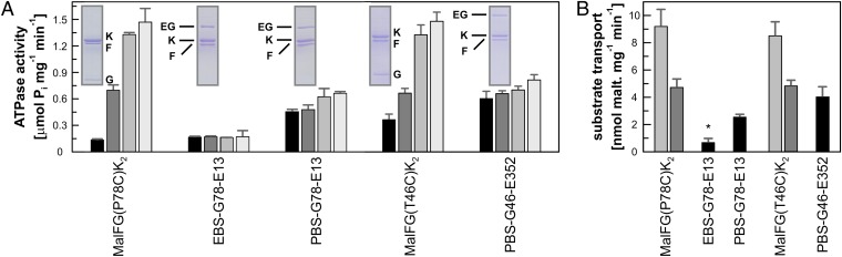 Fig. 5.