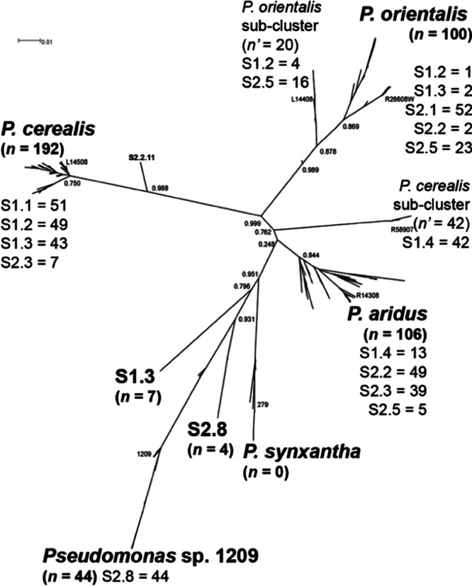 Fig 3