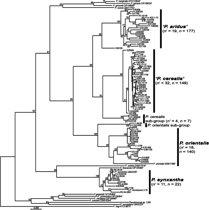 Fig 2