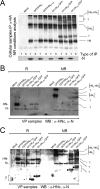FIG 4