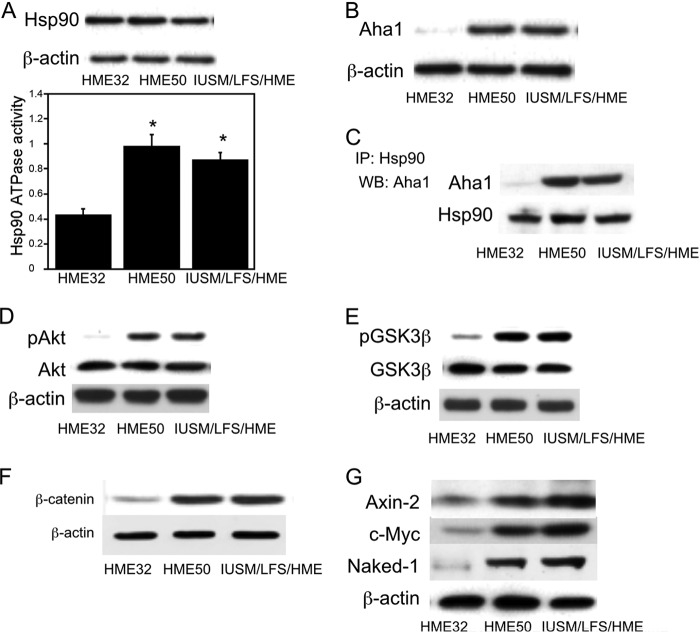 FIGURE 10.