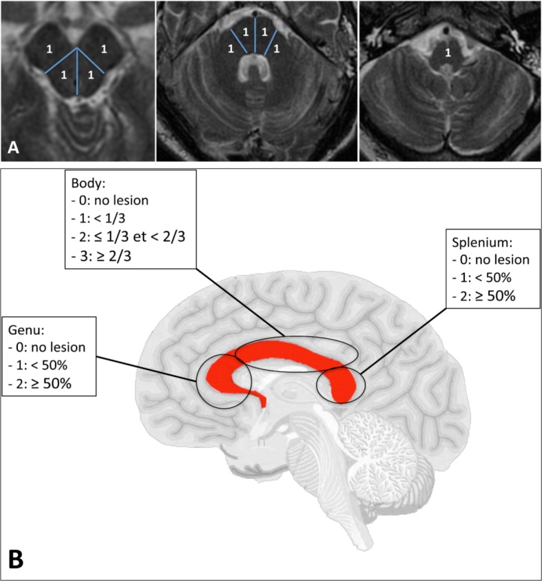 Fig 5