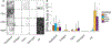 Figure 7: