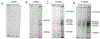 Figure 6: