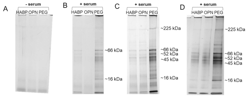 Figure 6: