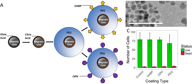 Figure 1: