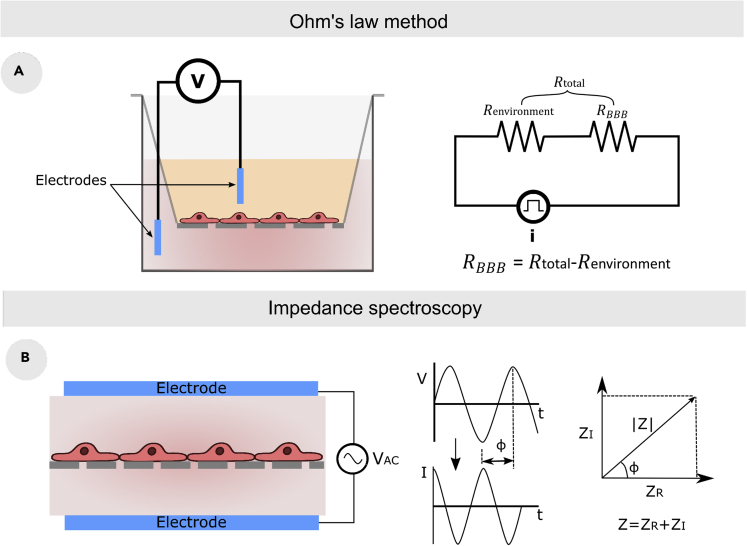 Figure 6