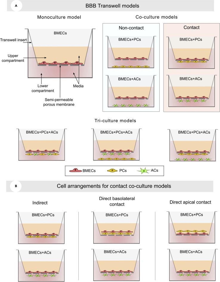 Figure 3