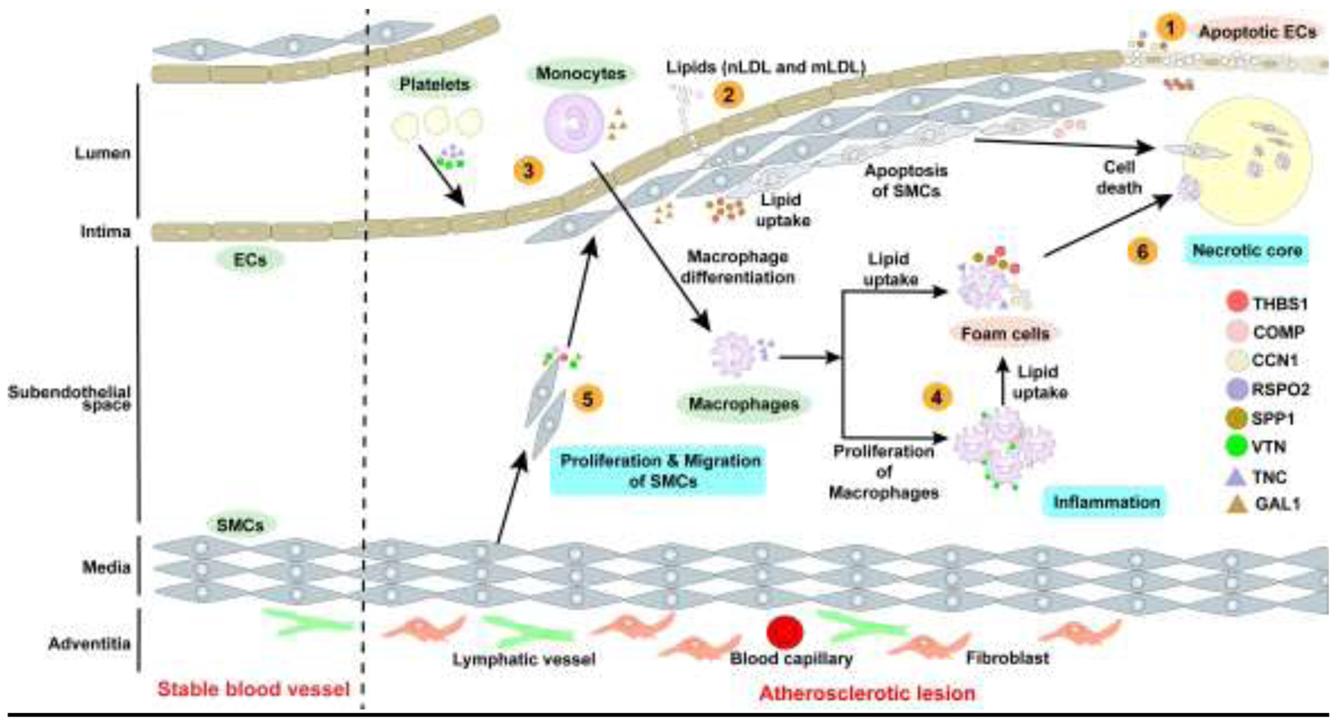 Figure 1: