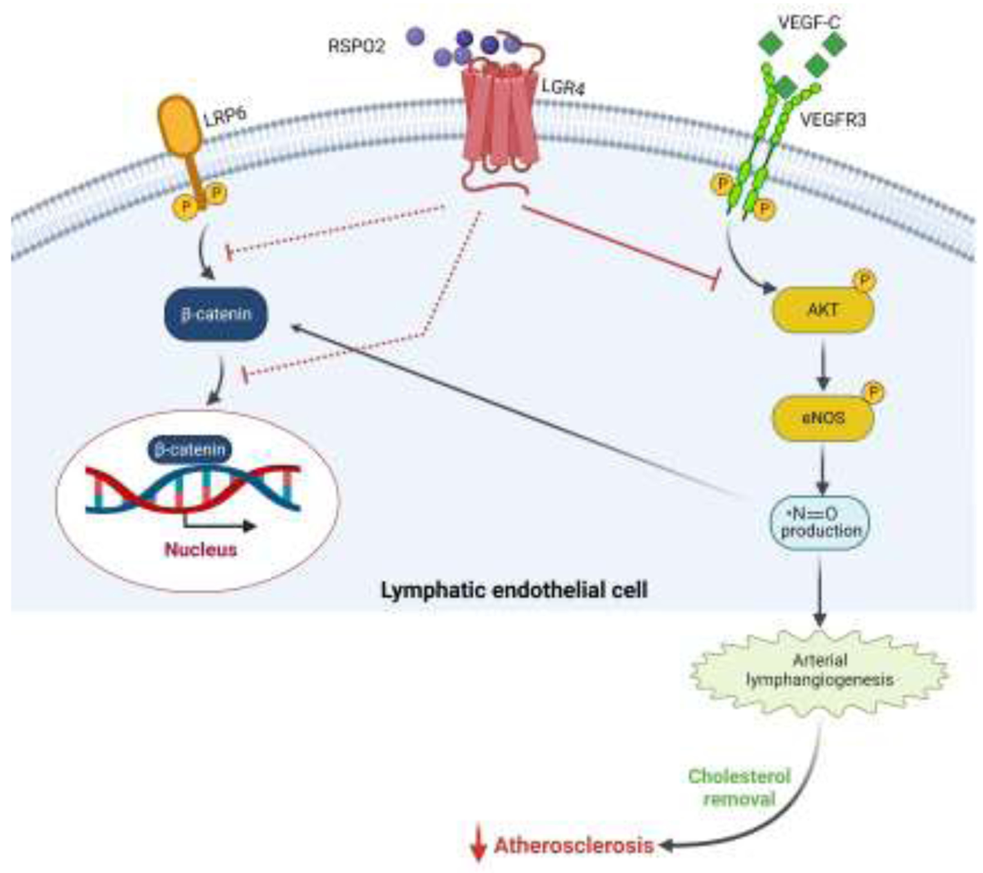 Figure 3: