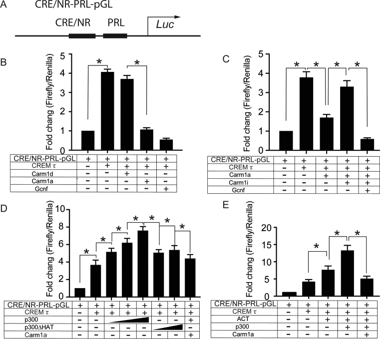 Figure 5.