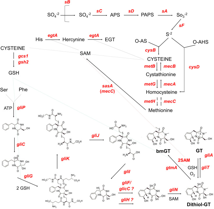 Fig 10