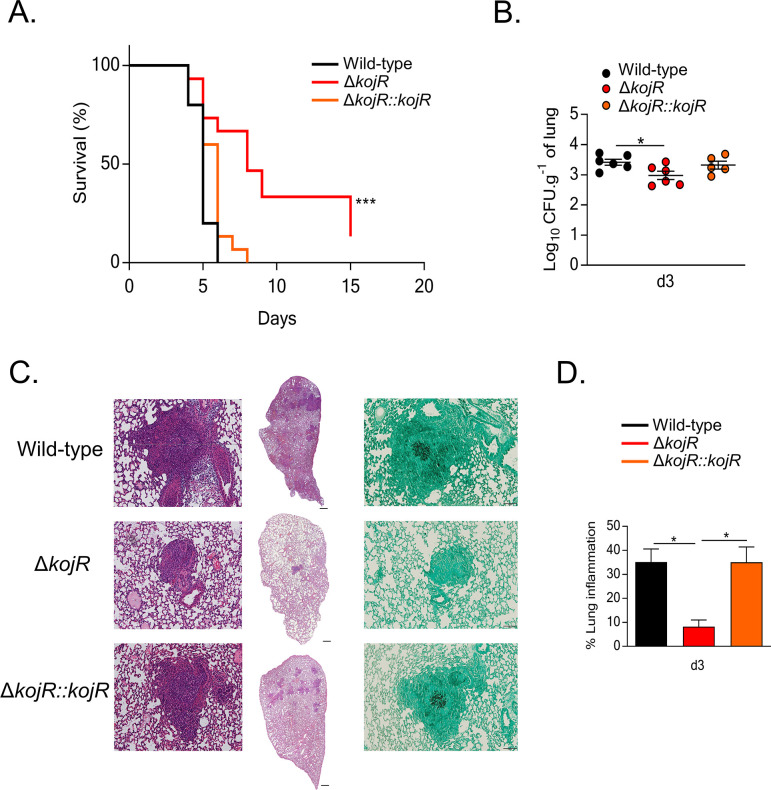 Fig 12