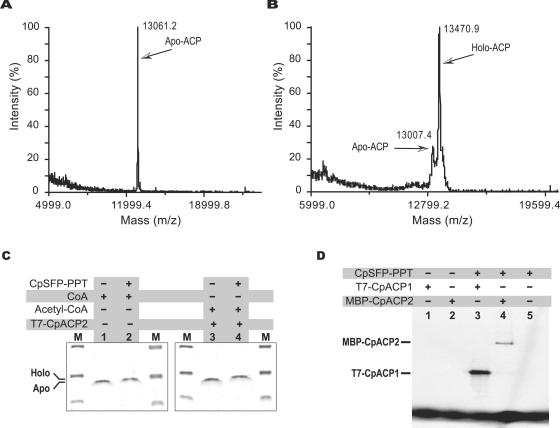 FIG. 8.