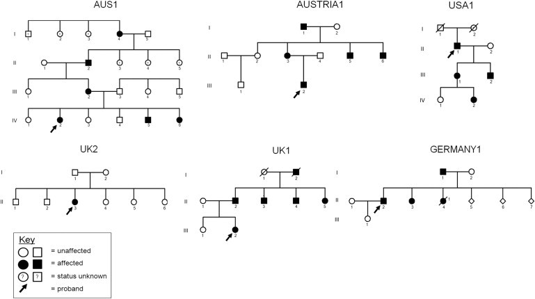 Figure 1