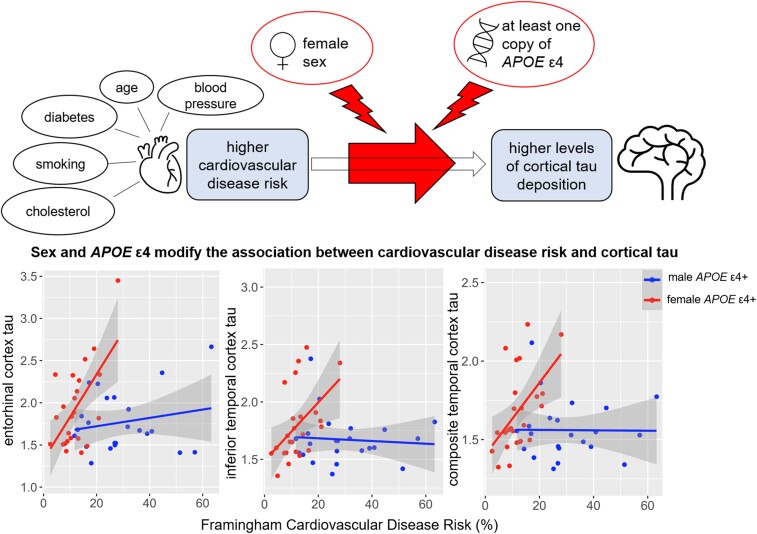 Graphical Abstract