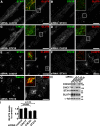 Figure 10.