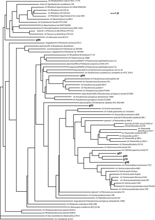 FIG. 2.