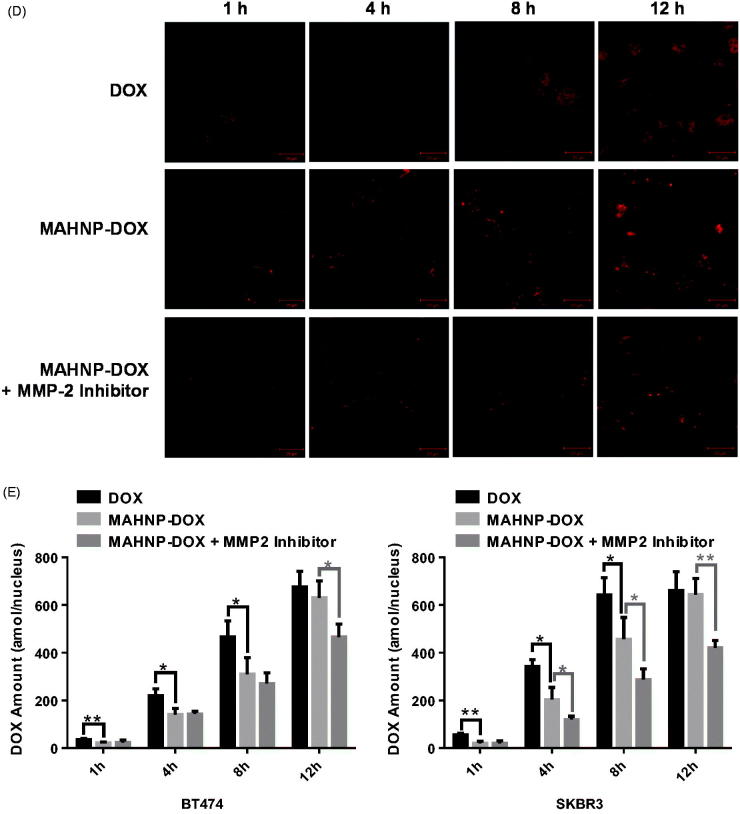 graphic file with name IDRD_A_1435746_F0004b_C.jpg