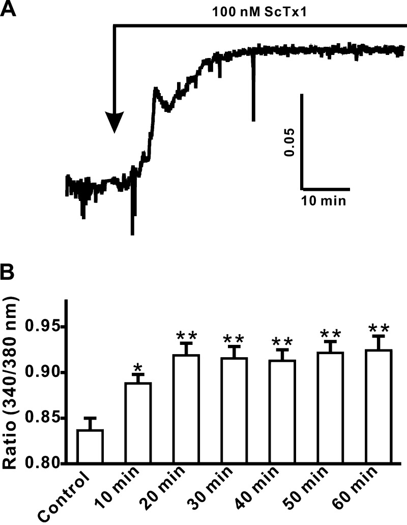 Fig. 5.