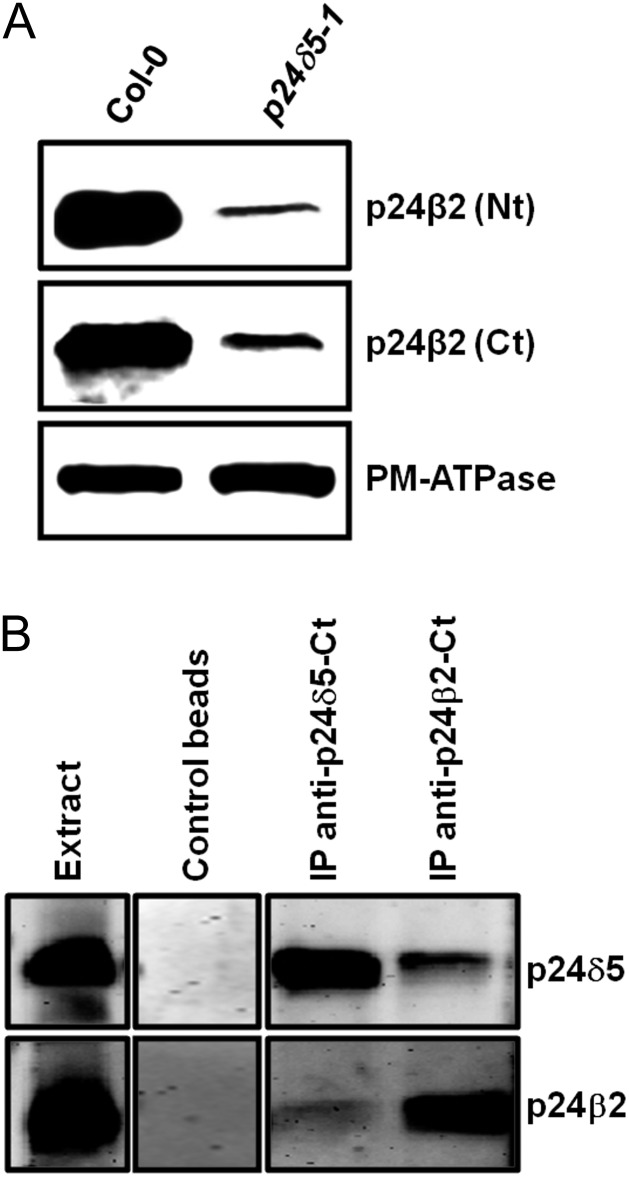 Fig. 10.