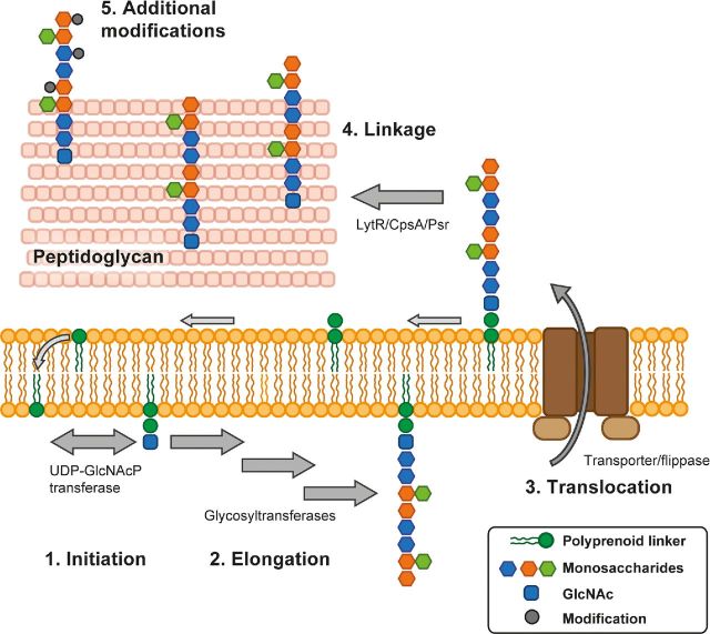 Figure 6.