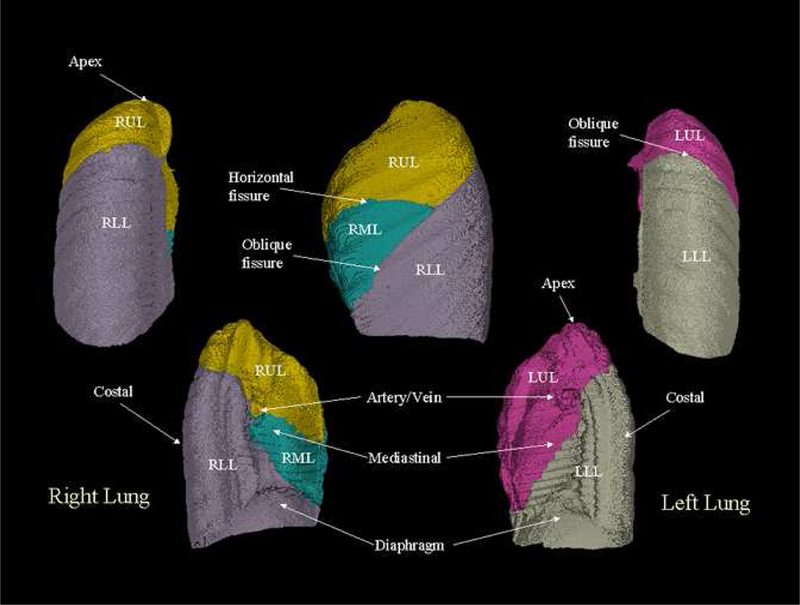 Figure 6: