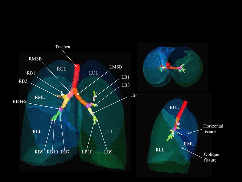 Figure 5: