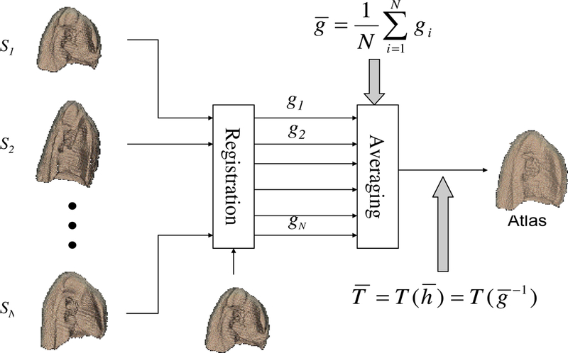 Figure 3: