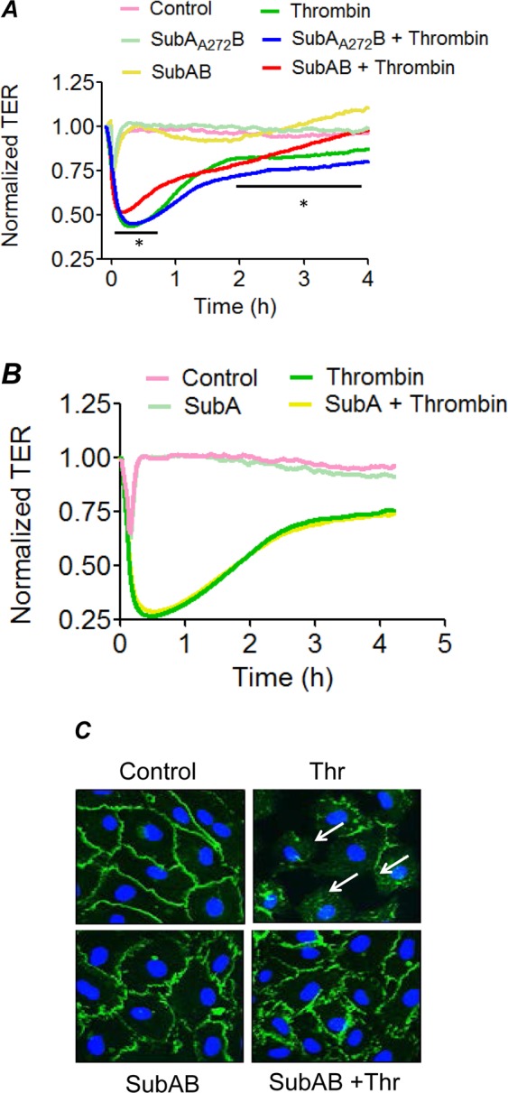 Figure 6