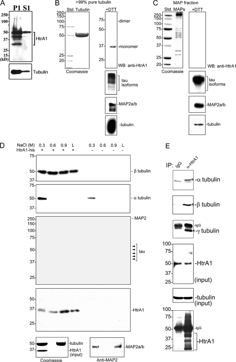 FIG. 7.