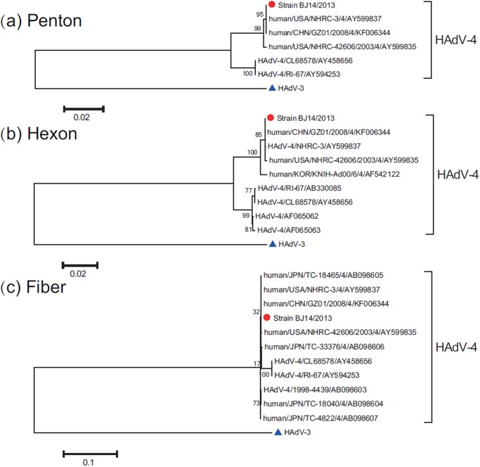 Fig 4